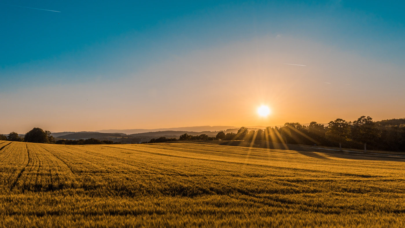 Campagna dorata al tramonto, con campi e colline